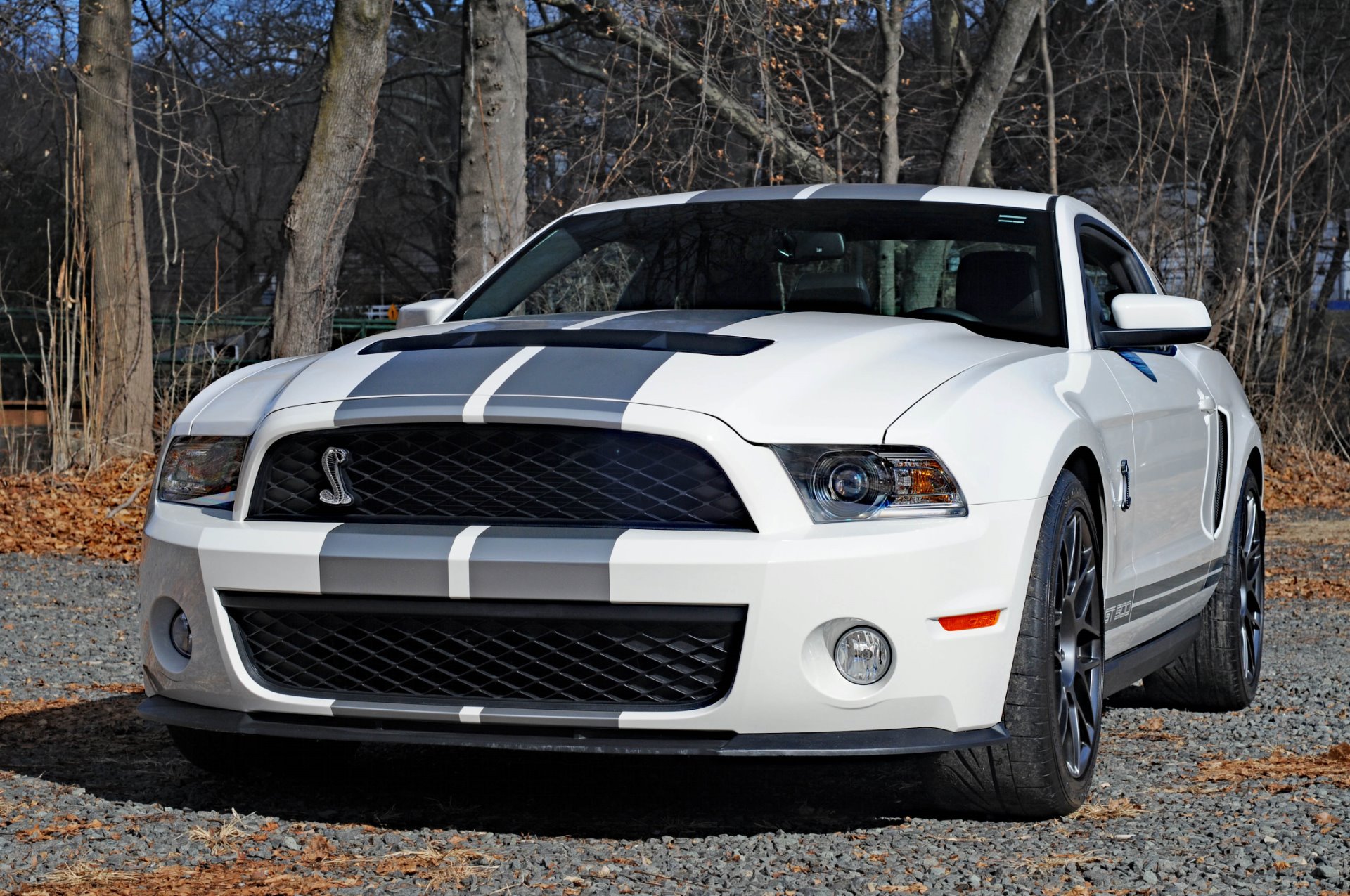 2011 Ford Shelby GT500 Stock 2395 for sale near Peapack, NJ NJ Ford