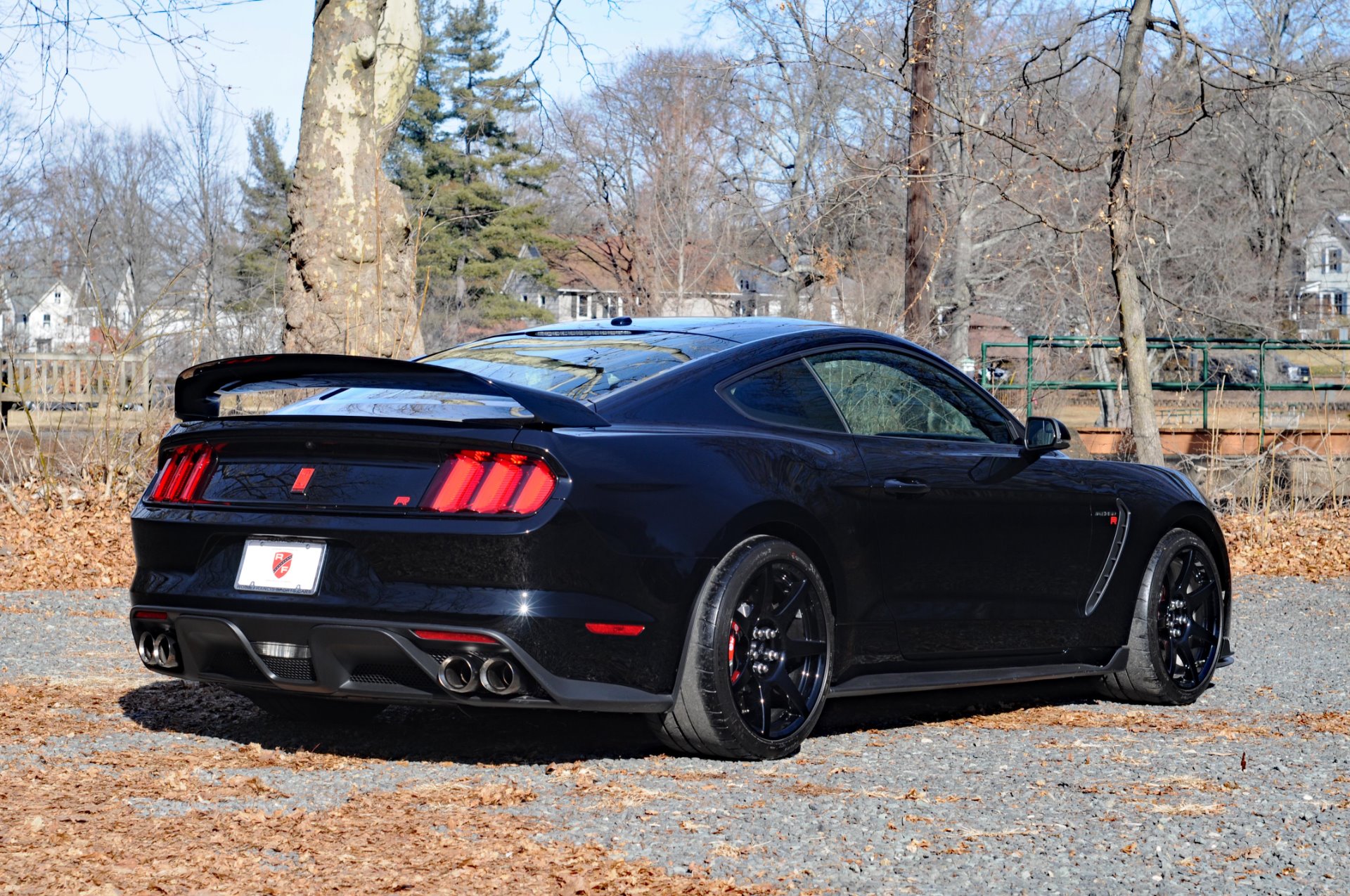 Ford shelby gt350r