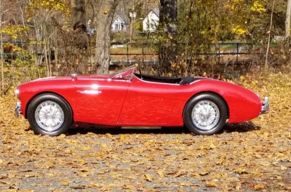 Used-1954-Austin-Healey-100-Roadster