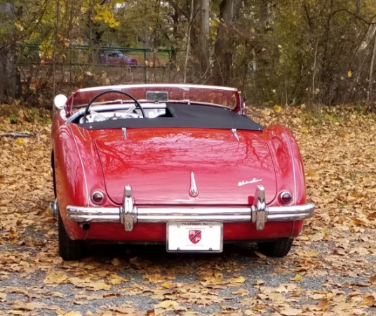 Used-1954-Austin-Healey-100-Roadster