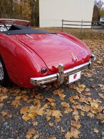 Used-1954-Austin-Healey-100-Roadster