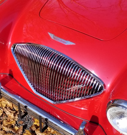 Used-1954-Austin-Healey-100-Roadster