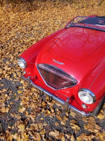 Used-1954-Austin-Healey-100-Roadster