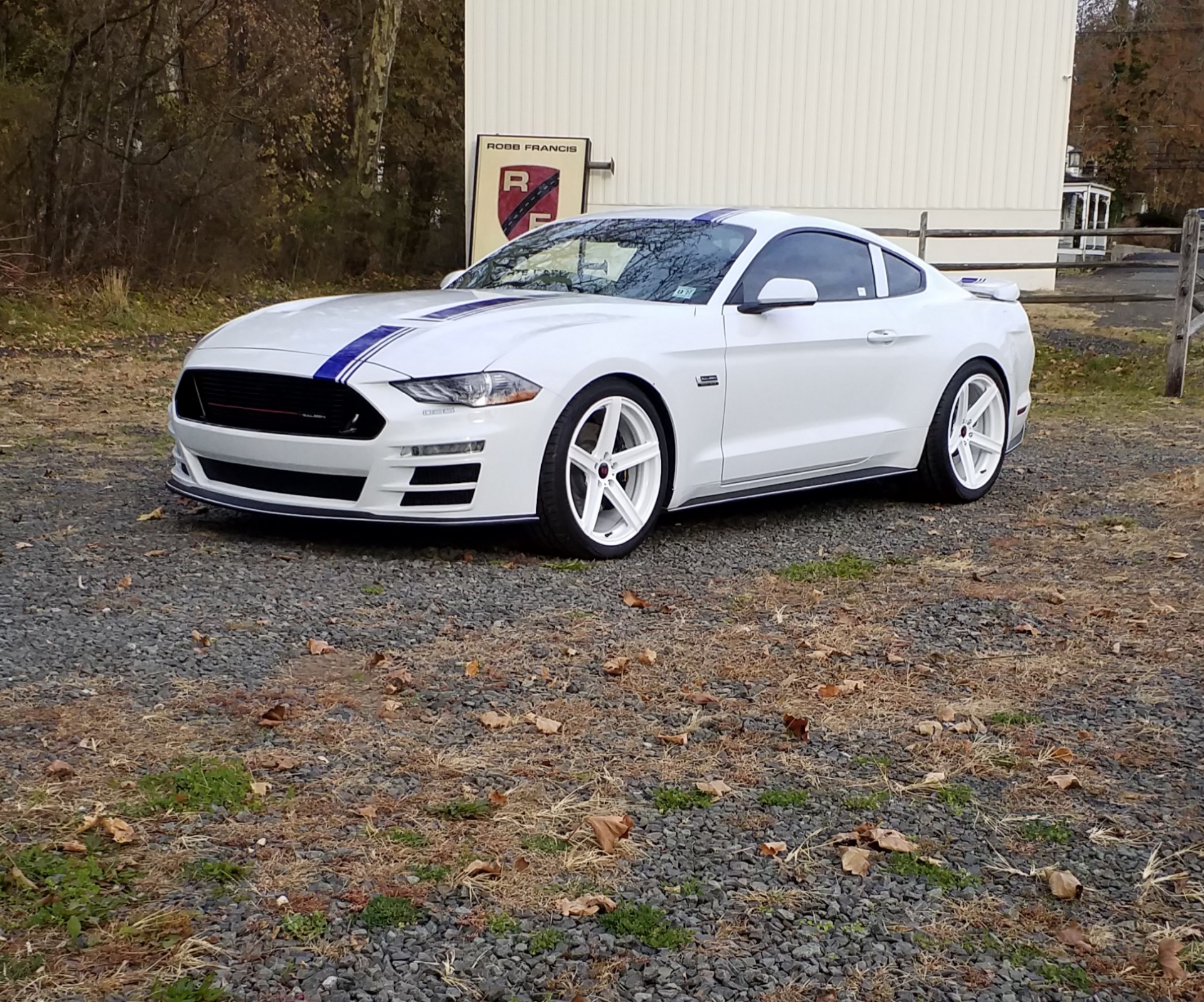 Saleen 302 White Labelnull