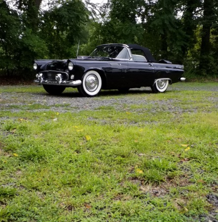 Used-1956-Ford-Thunderbird