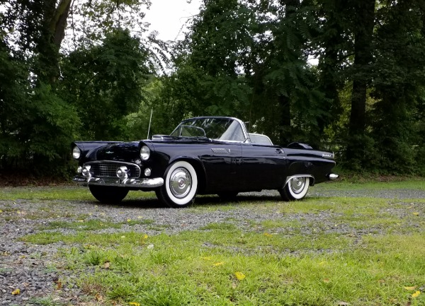 Used-1956-Ford-Thunderbird