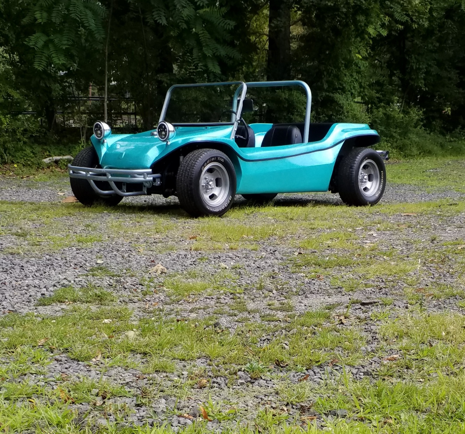 Berrien buggy for sale 2025