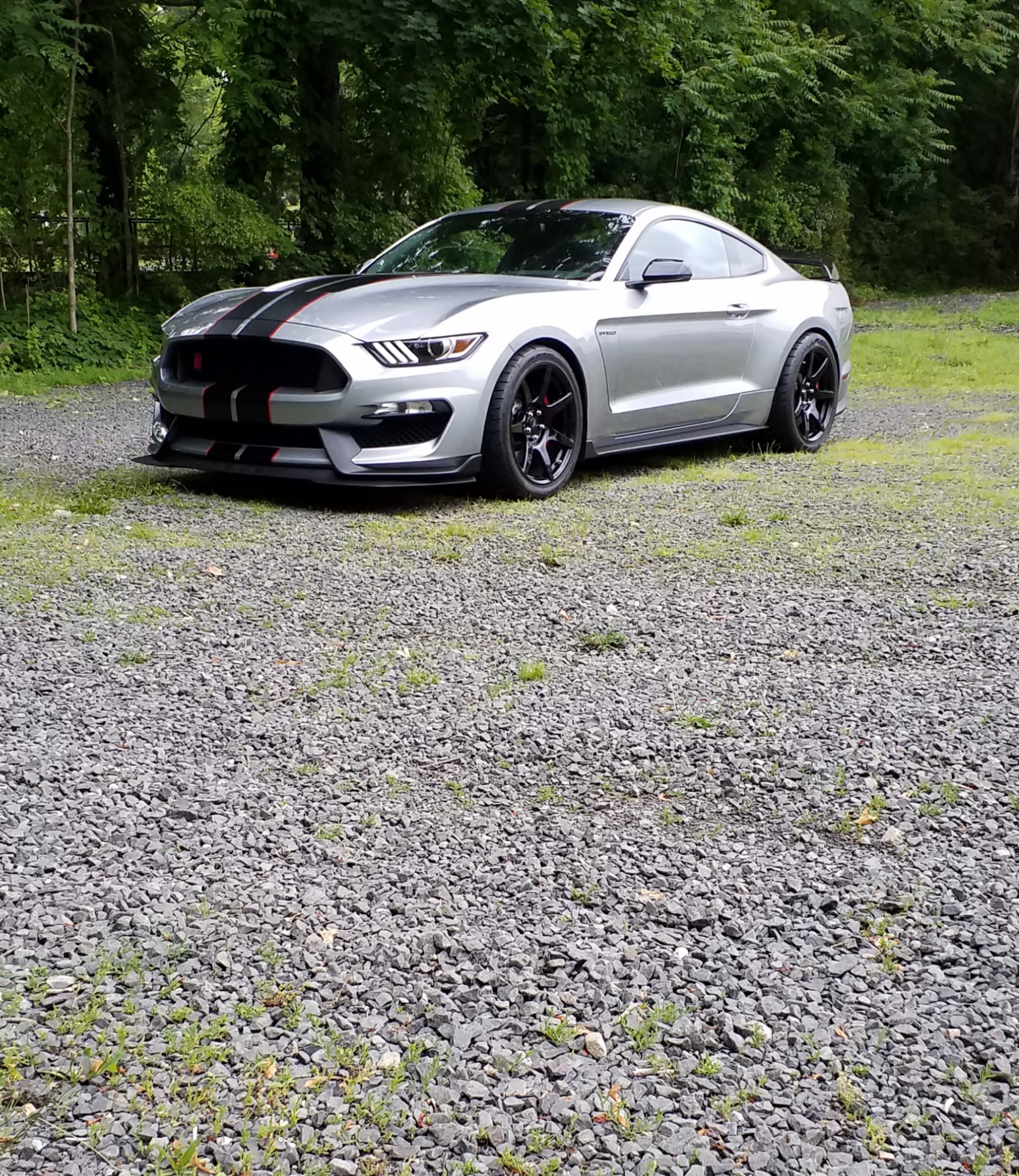 Used 2020 FORD SHELBY GT350R For Sale (Sold) | Robb Francis Sport Cars